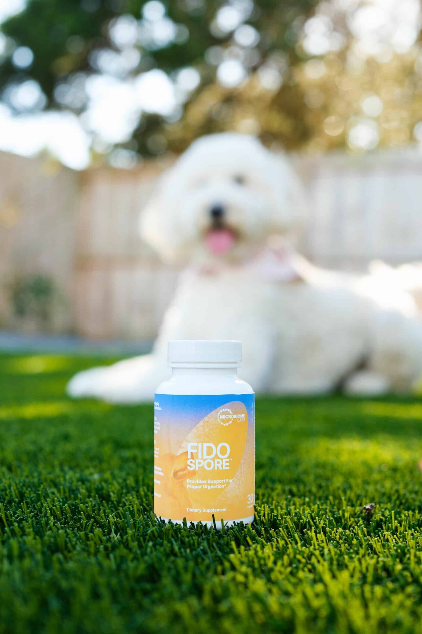 Fidospore Probiotic for Canine Leaky Gut - Image 5