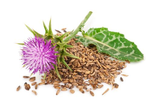 Milk Thistle Detox